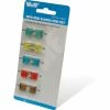 Wolf 10pc Mini Blades Fuse Set